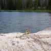 photo thumbnail #11