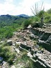 photo thumbnail #11