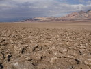 recent photo