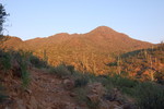 photo thumbnail #4