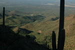 photo thumbnail #11