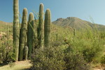 photo thumbnail #14