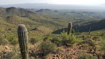 photo thumbnail #3