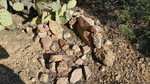 photo thumbnail #10