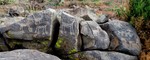 photo thumbnail #7