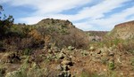 photo thumbnail #11