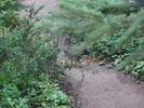 photo thumbnail #2