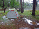 photo thumbnail #13