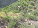 photo thumbnail #10