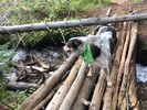 photo thumbnail #7