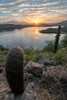 photo thumbnail #13