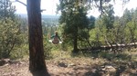 photo thumbnail #1