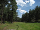 photo thumbnail #10