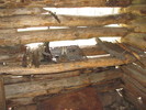 photo thumbnail #11