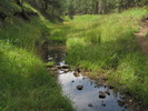 photo thumbnail #13