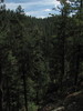 photo thumbnail #14