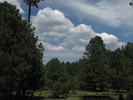 photo thumbnail #15