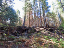 photo thumbnail #5