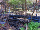 photo thumbnail #6