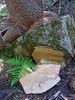 photo thumbnail #15
