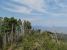 photo thumbnail #7