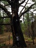 photo thumbnail #13