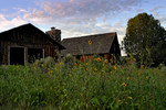 photo thumbnail #2