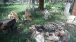 photo thumbnail #5