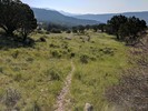photo thumbnail #11