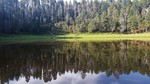 Featured Full Photo