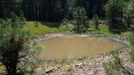 photo thumbnail #7