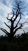 photo thumbnail #13