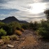 photo thumbnail #1