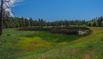 photo thumbnail #7