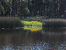 photo thumbnail #11