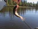 photo thumbnail #5