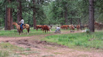 photo thumbnail #15