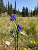 photo thumbnail #2
