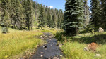 photo thumbnail #4