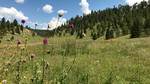 photo thumbnail #5