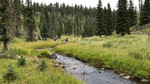 photo thumbnail #11