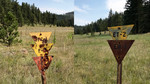 photo thumbnail #2