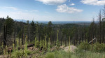 photo thumbnail #8