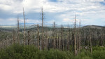 photo thumbnail #10