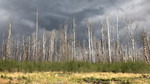 photo thumbnail #14