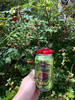 photo thumbnail #11
