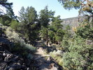 photo thumbnail #8