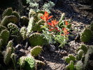 photo thumbnail #9