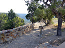 photo thumbnail #14