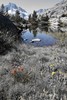 photo thumbnail #6